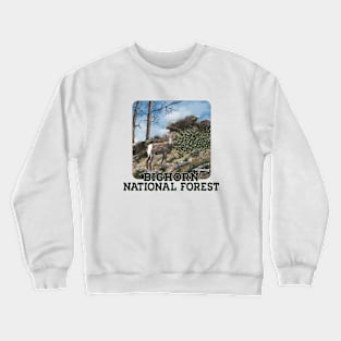Bighorn National Forest, Wyoming Crewneck Sweatshirt